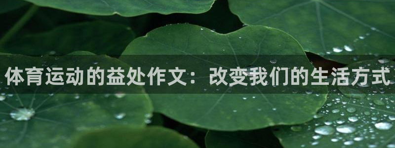 MK体育官网下载招商电话号码是多少：体育运动的益处作文：改变