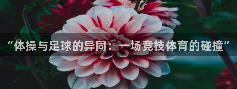 MK体育官网下载软件：“体操与足球的异同：一场竞技体育的碰撞