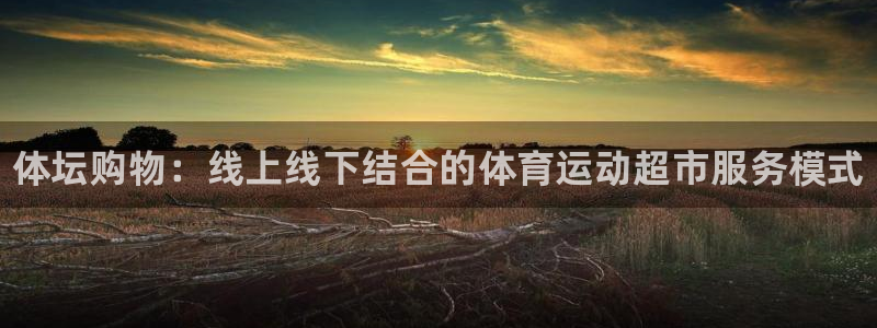 MK体育官方正版app娱乐首页网站大全：体坛购物：线