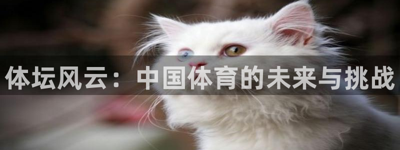 MK体育官网下载联系电话：体坛风云：中国体育的未来与