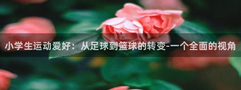 MK体育官网下载招商电话：小学生运动爱好：从足球到篮