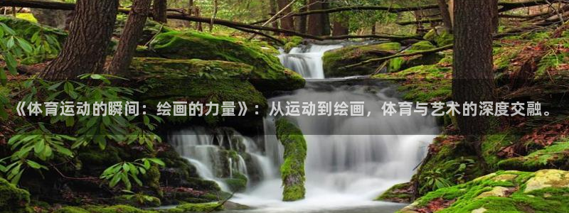 MK体育官方正版app娱乐网站