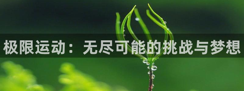 MK体育官网下载招商电话：极限运动：无尽可能的挑战与梦想