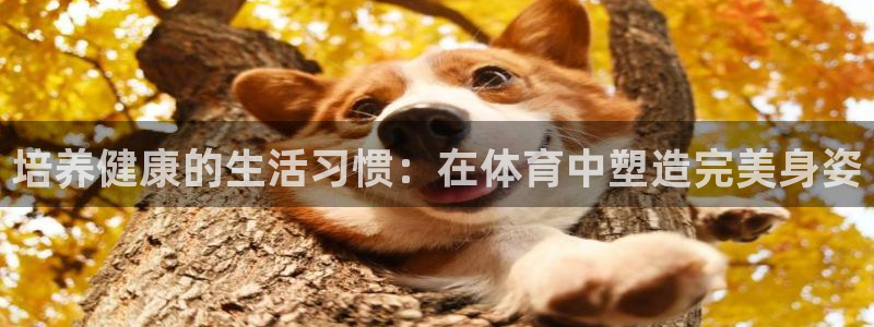 MK体育官网下载平台是正规平台吗