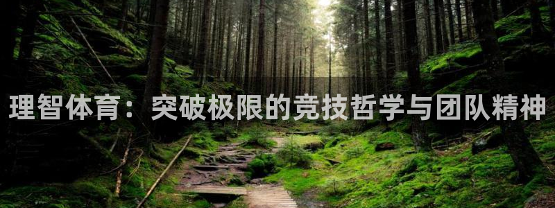 MK体育官网下载招商电话号码查询：理智体育：突破极限的竞技哲