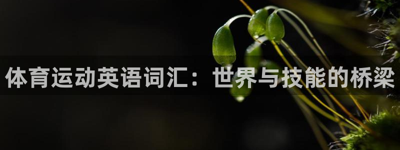 MK体育官方正版app娱乐是那个系列的台子：体育运动