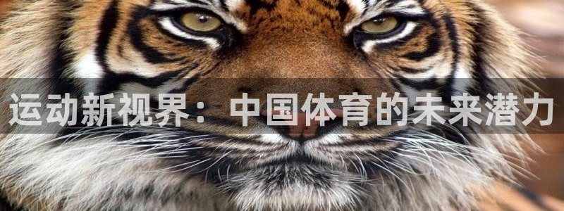 MK体育官网下载招商电话是多少：运动新视界：中国体育的未来潜