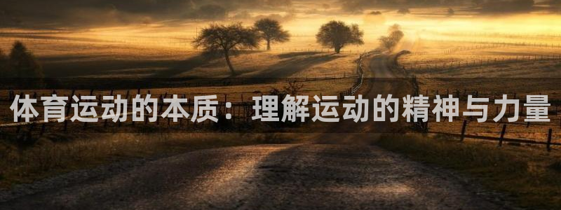 MK体育官网下载招商电话号码查询：体育运动的本质：理解运动的