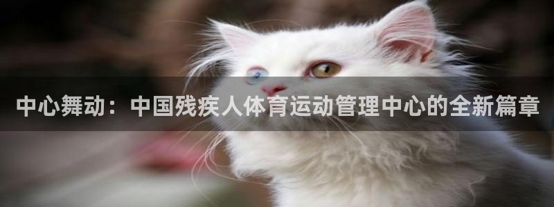 MK体育官方正版app娱乐40996