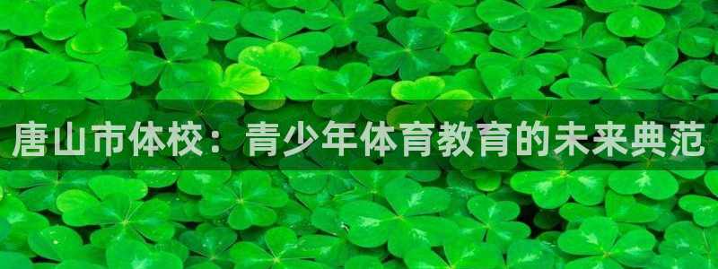 MK体育官网下载招商电话号码是多少号