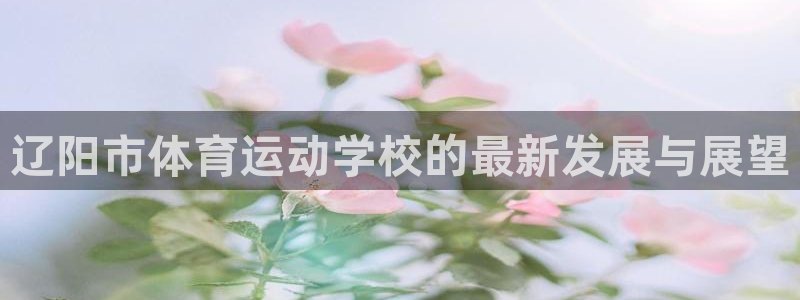 MK体育官方正版app娱乐是那个系列的台子