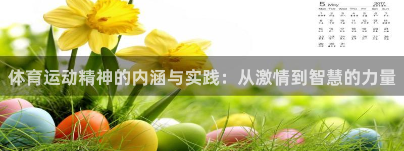 mk体育平台入口手机版安装