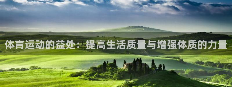 mk体育app官网版最新版本更新内容是什么